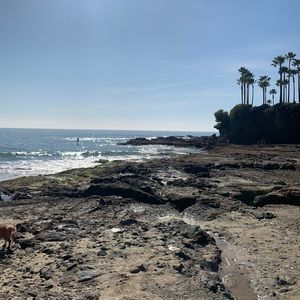 Meet your Posher, Isaac